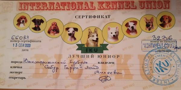 https://upforme.ru/uploads/0019/c5/a8/8/t922264.jpg