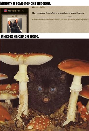 https://upforme.ru/uploads/0019/c6/9f/104/t602381.png