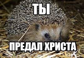 https://upforme.ru/uploads/0019/c6/9f/104/t937930.jpg