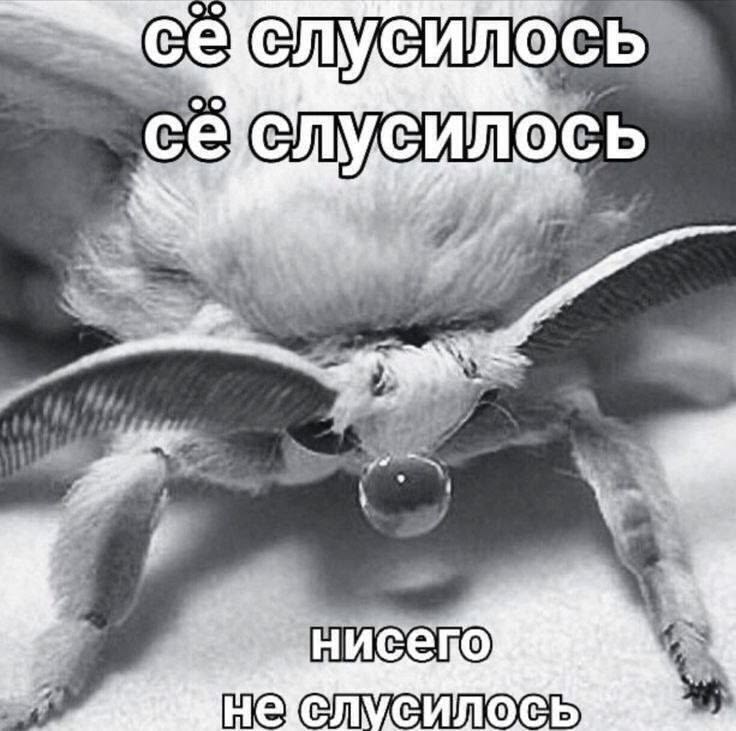 https://upforme.ru/uploads/0019/c6/9f/122/689128.jpg