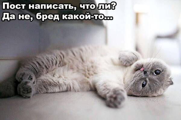 https://upforme.ru/uploads/0019/c6/9f/6/t724786.jpg