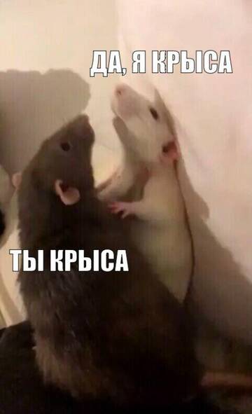 https://upforme.ru/uploads/0019/c6/9f/66/t415320.jpg