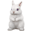 https://upforme.ru/uploads/0019/c7/e0/18/185431.png
