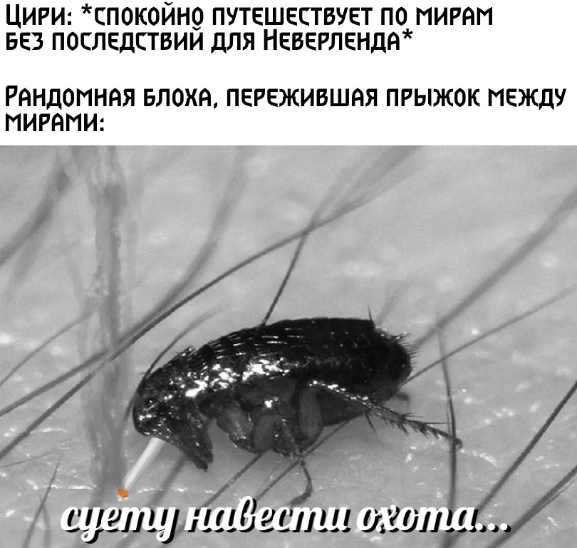https://upforme.ru/uploads/0019/c7/e0/18/949546.jpg
