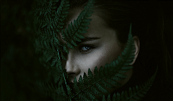 https://upforme.ru/uploads/0019/c7/e0/194/75969.png