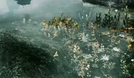 https://upforme.ru/uploads/0019/c7/e0/194/761472.gif