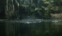 https://upforme.ru/uploads/0019/c7/e0/194/872990.gif