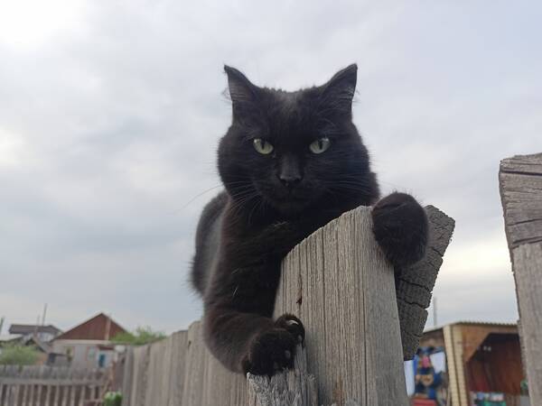 https://upforme.ru/uploads/0019/c7/e0/311/t266901.jpg