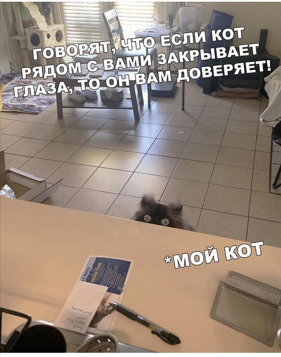 https://upforme.ru/uploads/0019/c7/e0/89/392398.jpg