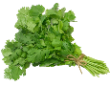 https://upforme.ru/uploads/0019/c7/e0/89/606458.png