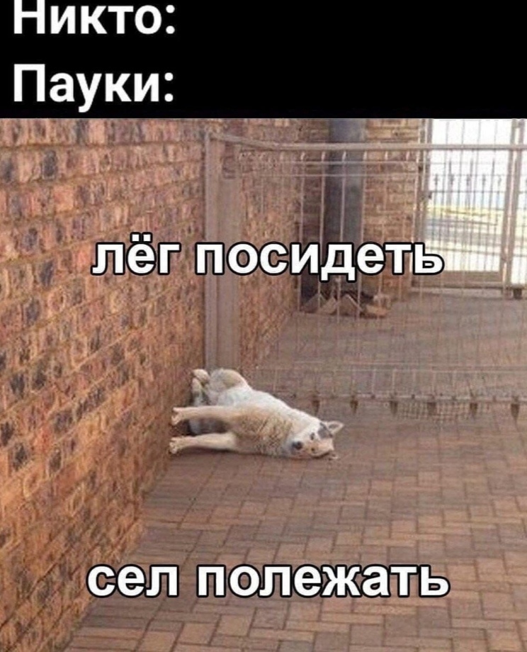 https://upforme.ru/uploads/0019/c7/e0/89/606783.jpg