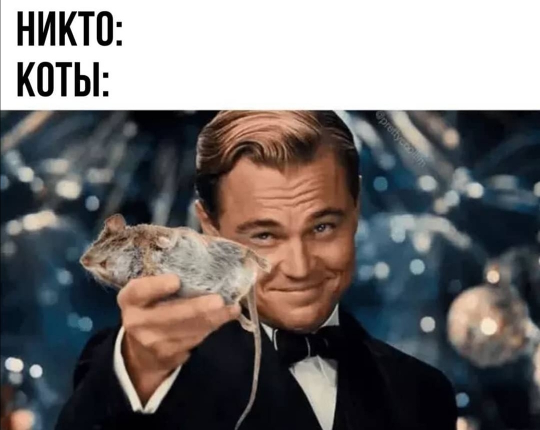 https://upforme.ru/uploads/0019/c7/e0/89/619694.jpg