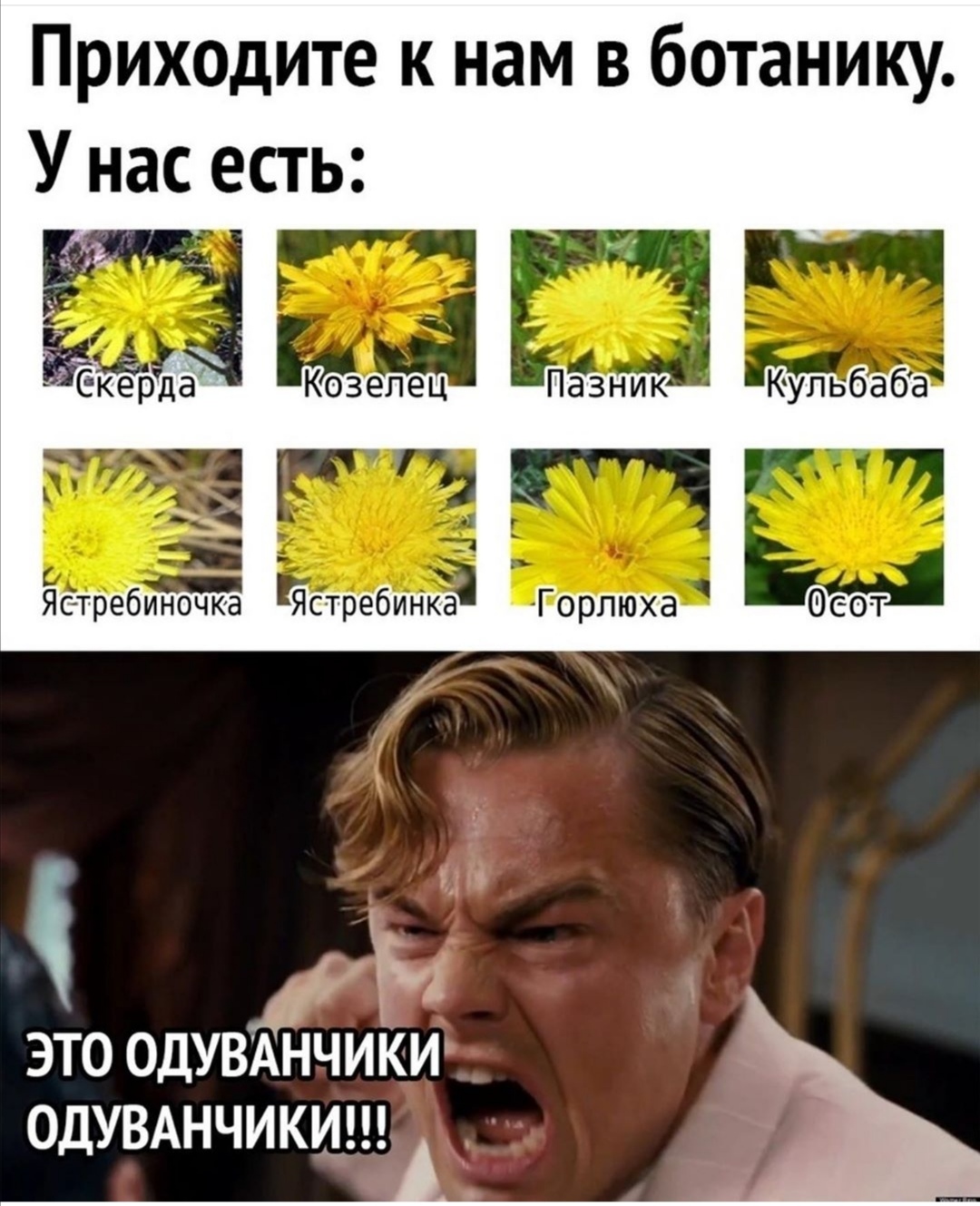 https://upforme.ru/uploads/0019/c7/e0/89/628610.jpg