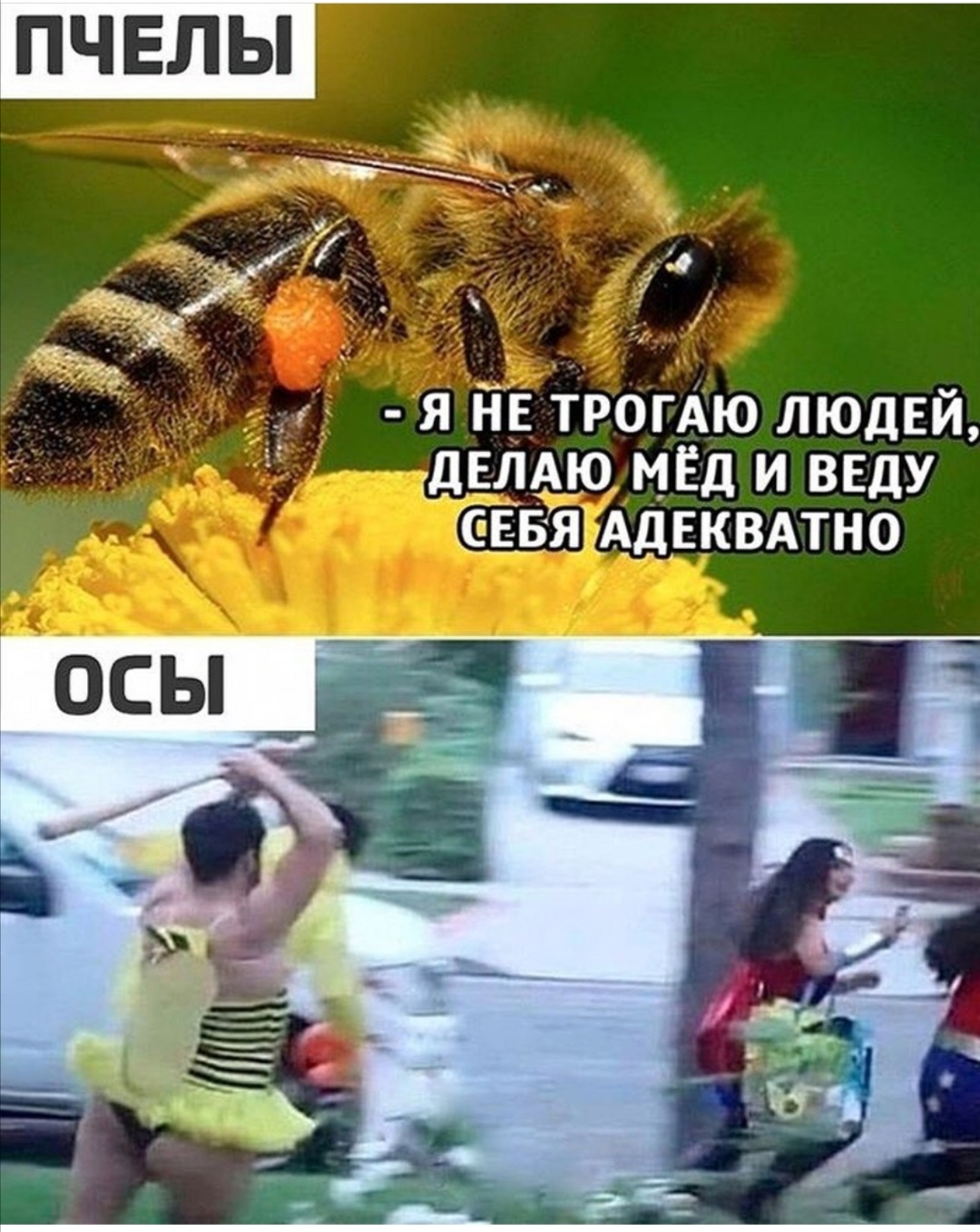 https://upforme.ru/uploads/0019/c7/e0/89/873584.jpg