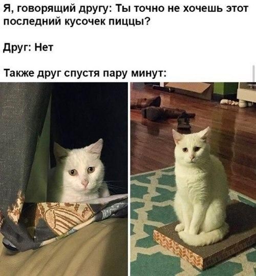 https://upforme.ru/uploads/0019/c7/e0/89/888841.jpg