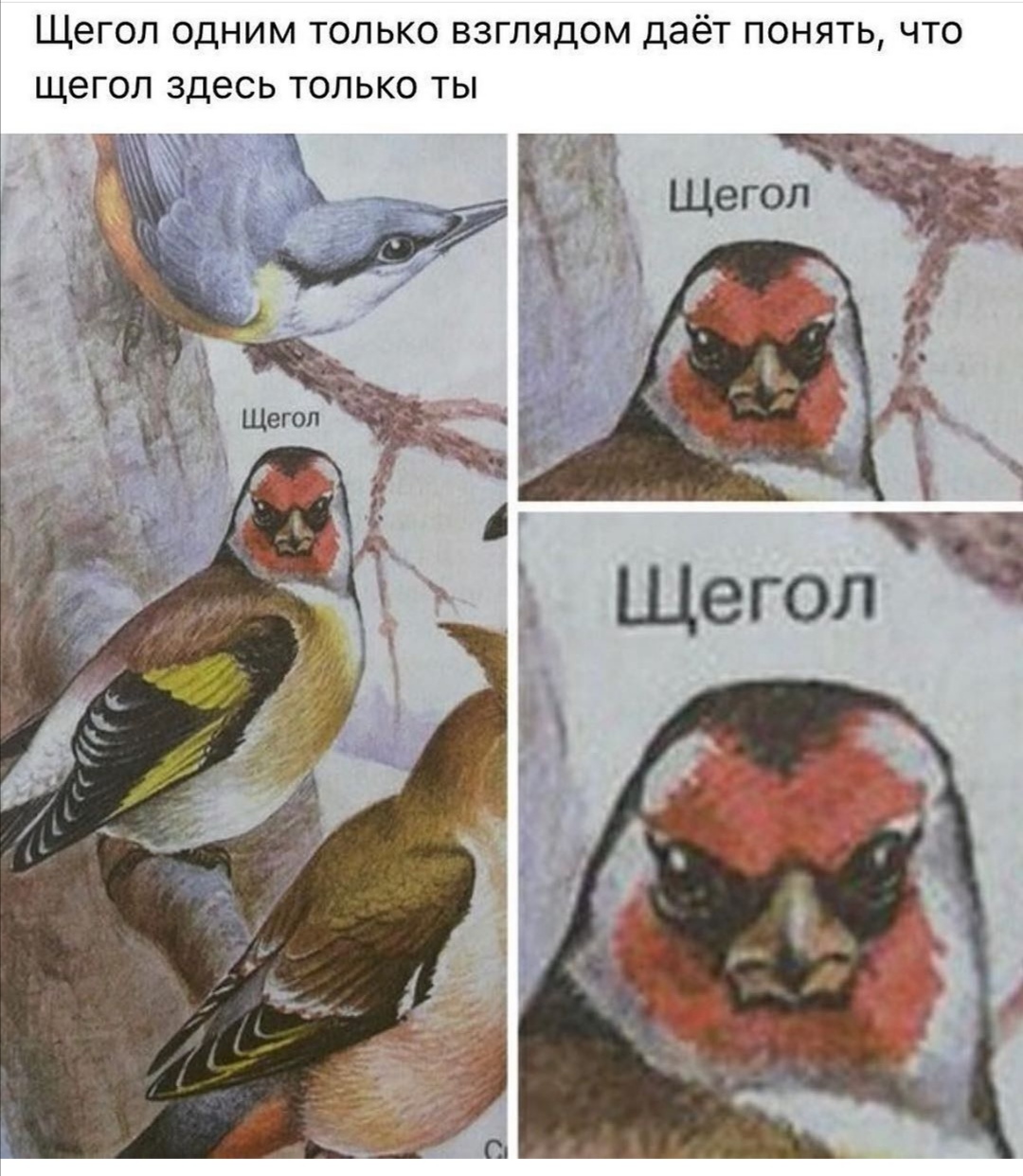 https://upforme.ru/uploads/0019/c7/e0/89/939065.jpg
