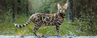 https://upforme.ru/uploads/0019/c8/05/1160/889304.jpg