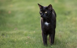 https://upforme.ru/uploads/0019/c8/05/1163/t924794.jpg