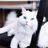 https://upforme.ru/uploads/0019/c8/05/1173/t22406.png