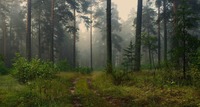 https://upforme.ru/uploads/0019/c8/05/1187/t73522.jpg