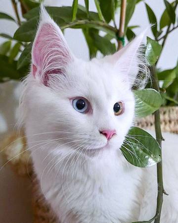 https://upforme.ru/uploads/0019/c8/05/472/t20961.jpg
