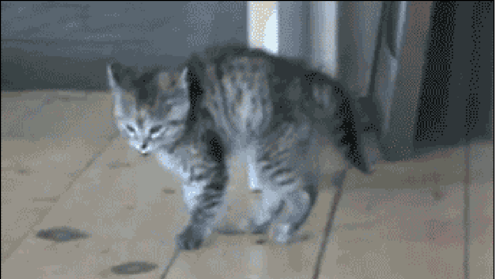 https://upforme.ru/uploads/0019/c8/05/530/844675.gif
