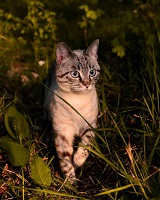https://upforme.ru/uploads/0019/c8/05/555/t548648.jpg