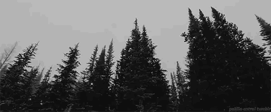 https://upforme.ru/uploads/0019/c8/05/557/520644.gif