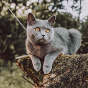 https://upforme.ru/uploads/0019/c8/05/698/t535001.jpg