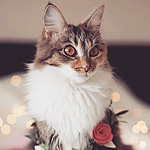 https://upforme.ru/uploads/0019/c8/05/726/t529521.jpg