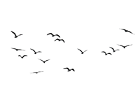 https://upforme.ru/uploads/0019/c8/05/788/t747770.png