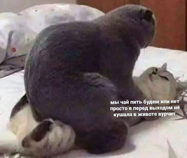 https://upforme.ru/uploads/0019/c8/05/934/11707.png