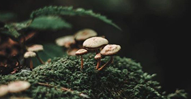 https://upforme.ru/uploads/0019/c8/05/991/869439.jpg