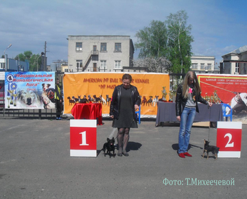 https://upforme.ru/uploads/0019/d1/b5/2/t149257.png