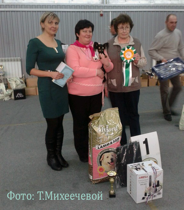 https://upforme.ru/uploads/0019/d1/b5/2/t172300.png