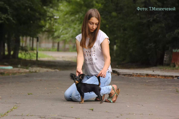 https://upforme.ru/uploads/0019/d1/b5/2/t20568.png