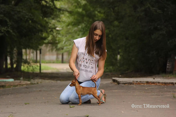 https://upforme.ru/uploads/0019/d1/b5/2/t644689.png