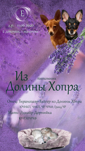 https://upforme.ru/uploads/0019/d1/b5/2/t777534.png