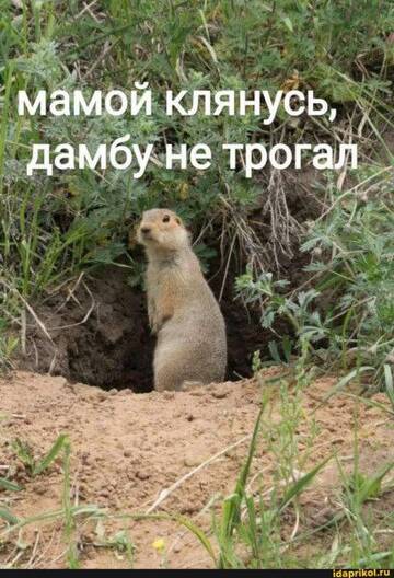 https://upforme.ru/uploads/0019/d2/d8/10/t323288.jpg