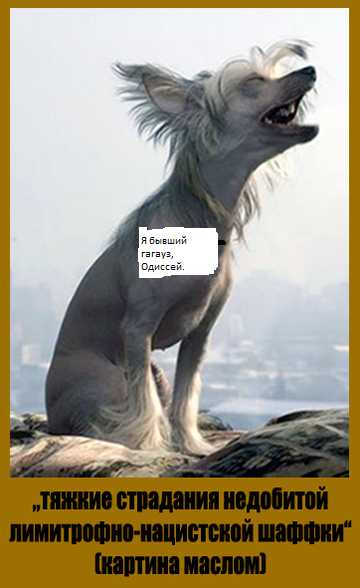 https://upforme.ru/uploads/0019/d2/d8/12/t826728.png