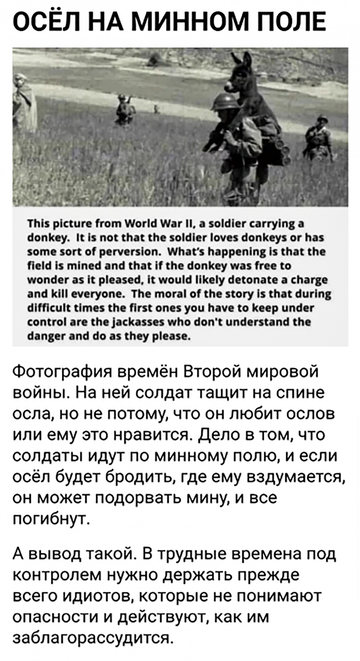 https://upforme.ru/uploads/0019/d2/d8/121/t141420.png