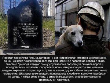 https://upforme.ru/uploads/0019/d2/d8/121/t58049.jpg