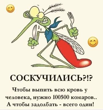 https://upforme.ru/uploads/0019/d2/d8/15/t204459.jpg