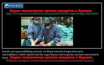 https://upforme.ru/uploads/0019/d2/d8/15/t25424.jpg