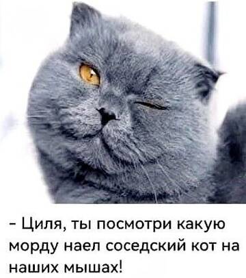 https://upforme.ru/uploads/0019/d2/d8/15/t361560.jpg