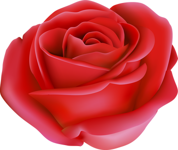 https://upforme.ru/uploads/0019/d2/d8/15/t763768.png