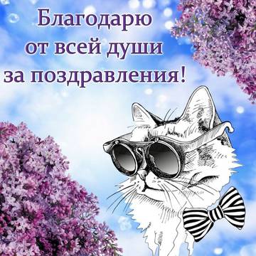 https://upforme.ru/uploads/0019/d2/d8/15/t823635.jpg
