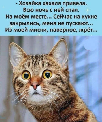 https://upforme.ru/uploads/0019/d2/d8/15/t922493.jpg