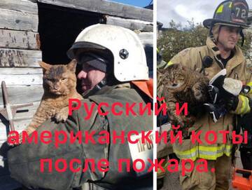 https://upforme.ru/uploads/0019/d2/d8/15/t977799.jpg