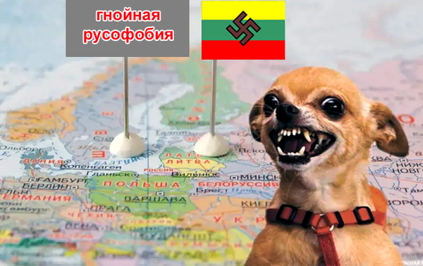 https://upforme.ru/uploads/0019/d2/d8/183/t120287.png
